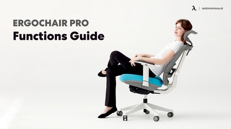 Autonomous ErgoChair Pro  Best Office Chair for Back Pain 