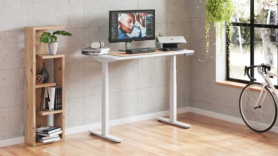 55*24'' Electric Standing Desk Adjustable Height Stand up Desk 27