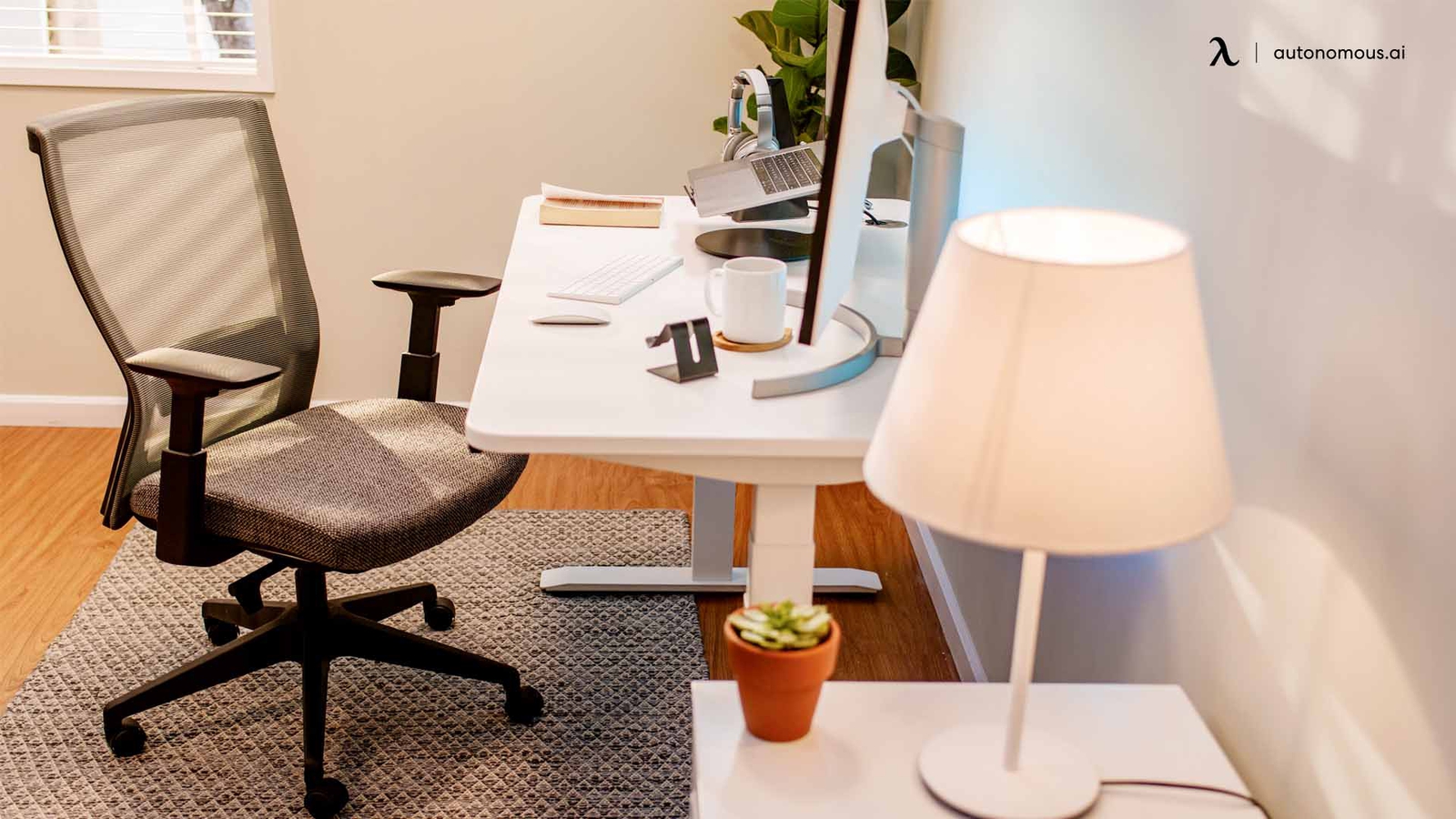 The Best Modern & Contemporary Standing Desk for Your Office