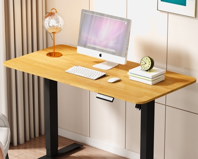 Aiterminal Standing Desk: Programmable Keypad