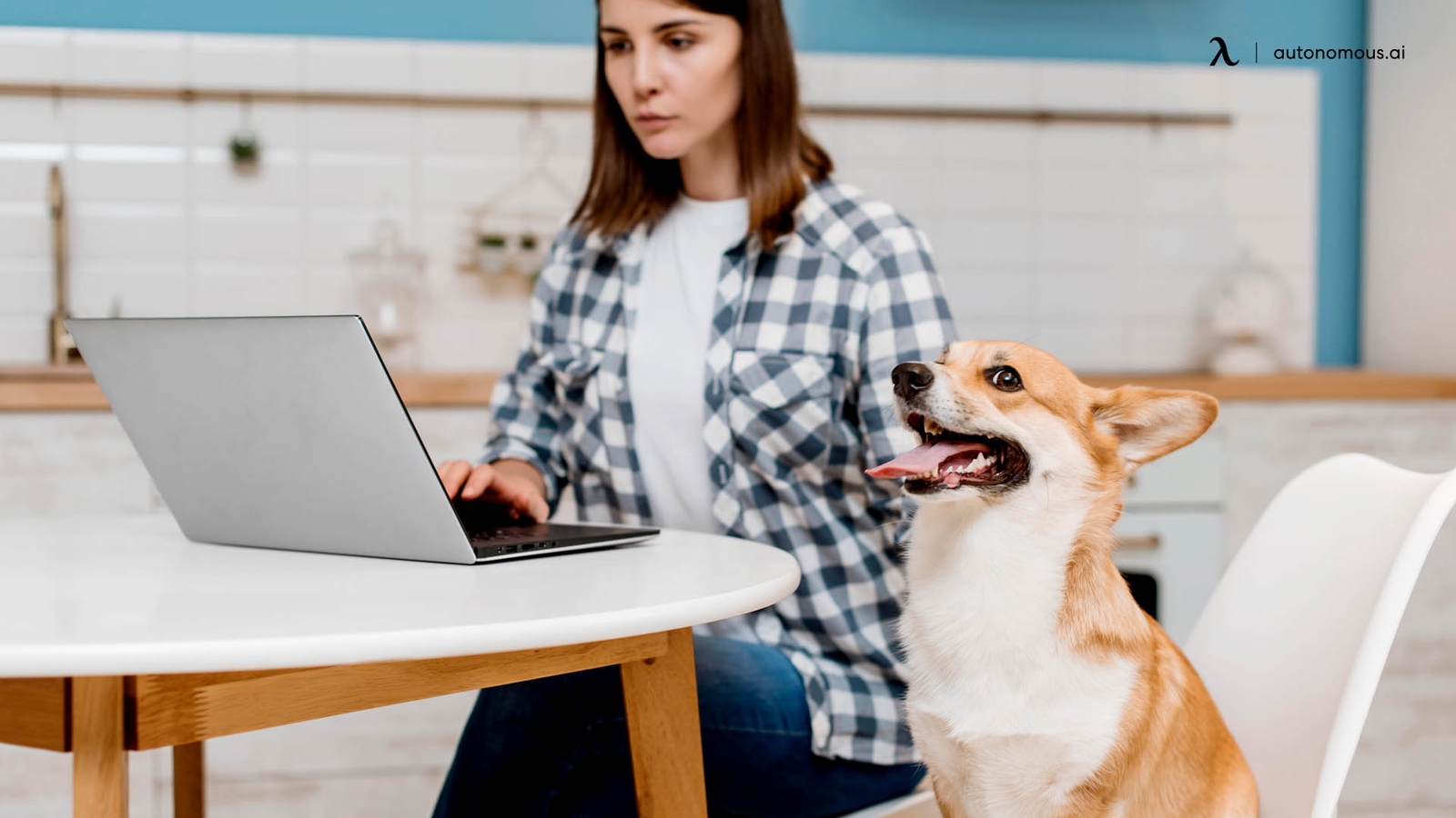 6 Productivity Tips for Working from Home with Pets