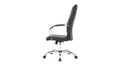 skyline-decor-sonora-modern-high-back-tall-chair-black - Autonomous.ai