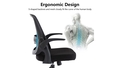 home-office-ergonomic-mesh-task-chair-black - Autonomous.ai