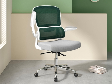 Logicfox Ergonomic Office Chair: Emerald Green