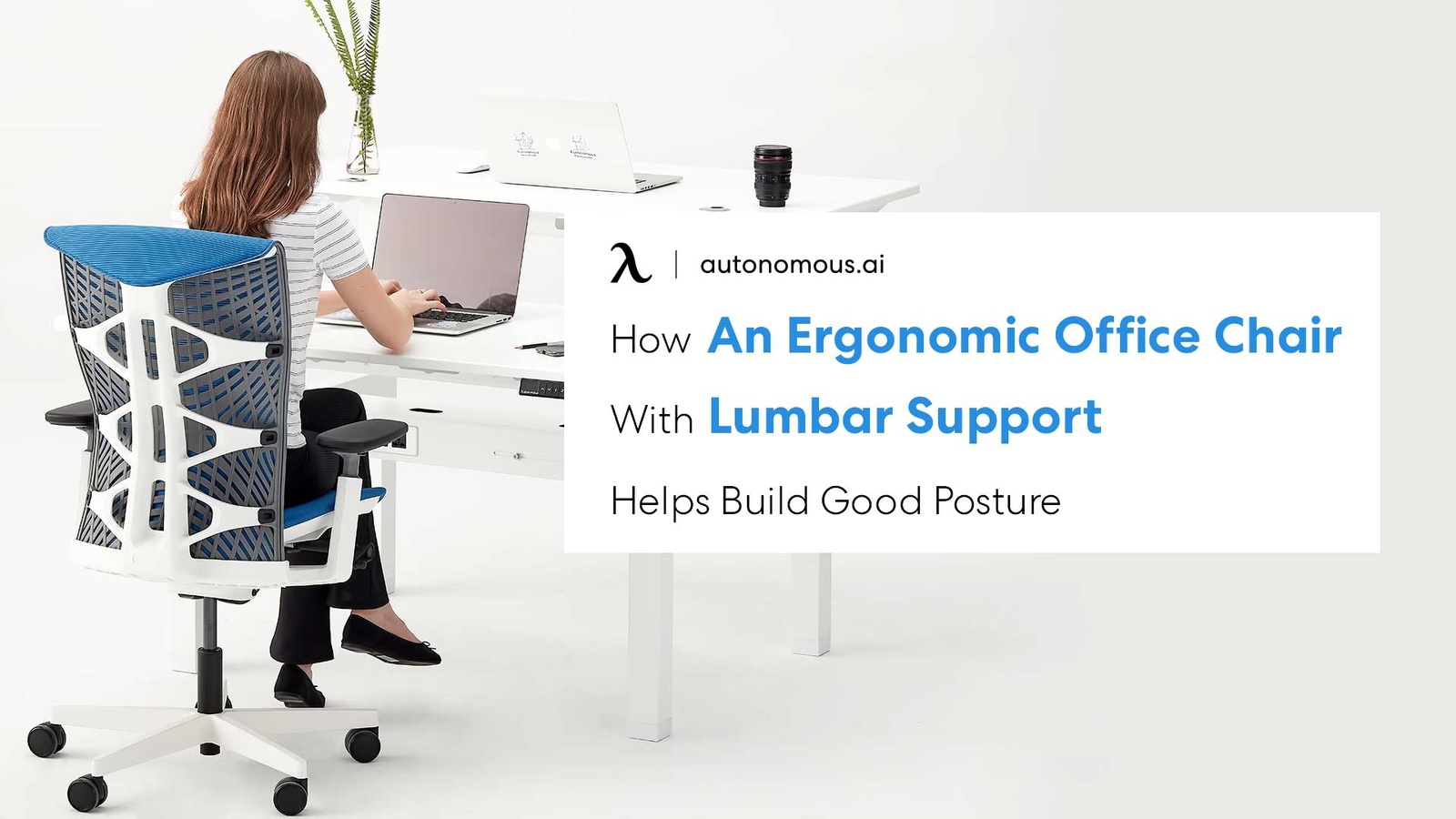 How An Ergonomic Office Chair With Lumbar Support Helps Build Good Posture