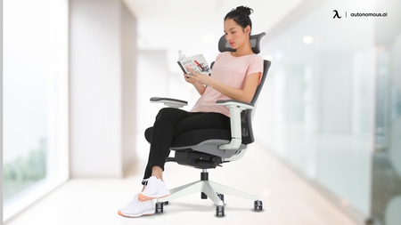 The Original McKenzie Lumbar Roll by OPTP - Low Back Support for Office  Chairs