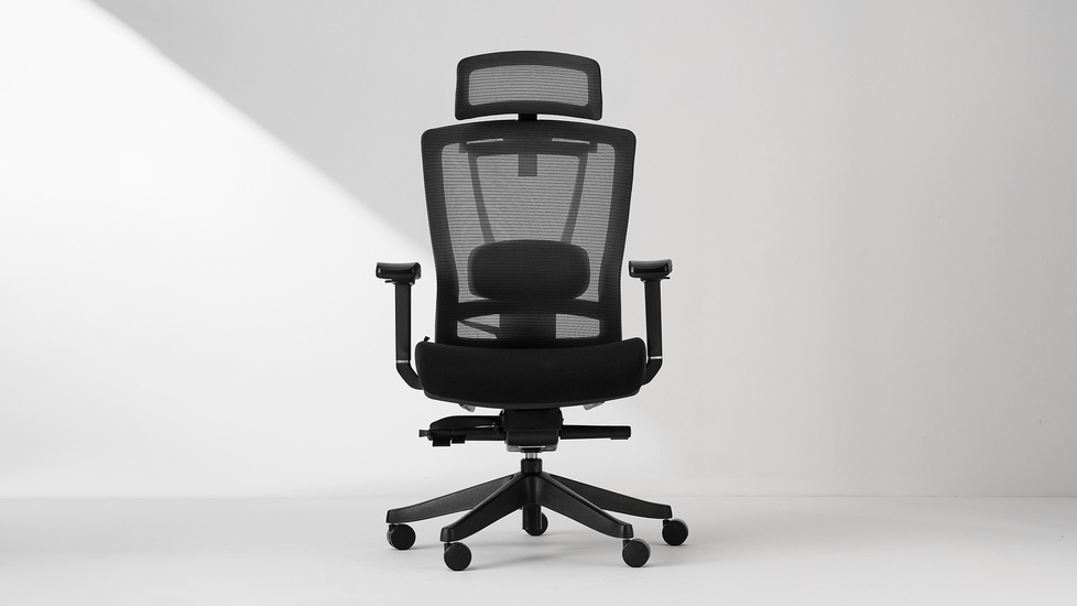 Ergonomic Office Chair - Black/White