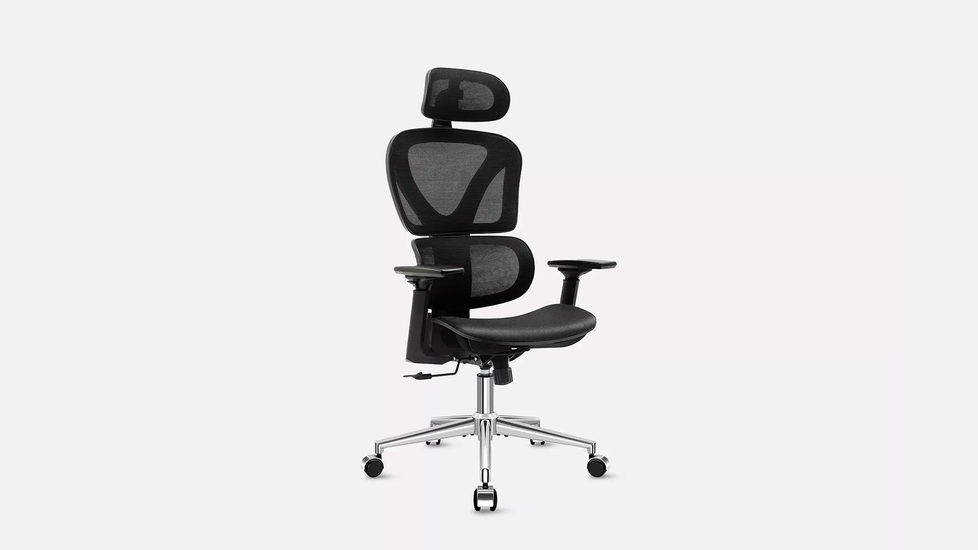 High Back Office Chair with Headrest & Lumbar Support for Bad Back