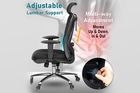 duramont-ergonomic-office-chair-adjustable-desk-chair-ergonomic-office-chair