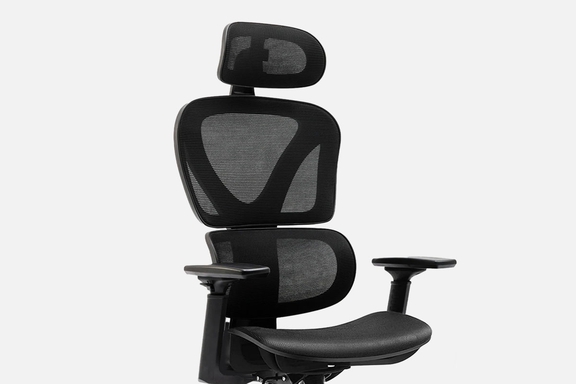 KERDOM Ergonomic Chair: Double Lumbar Support
