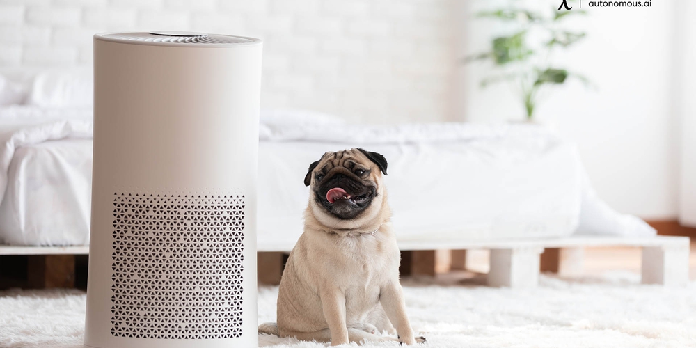 Top 3 Best Air Purifiers for Home in 2022