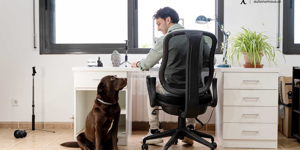 10 Ergonomic Office Chairs to Keep You Comfortable in Work