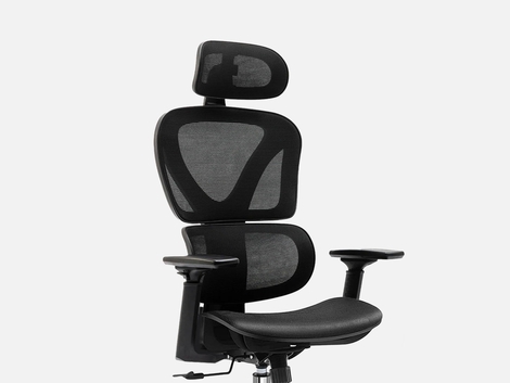 KERDOM FelixKing Ergonomic Chair: Double Lumbar Support