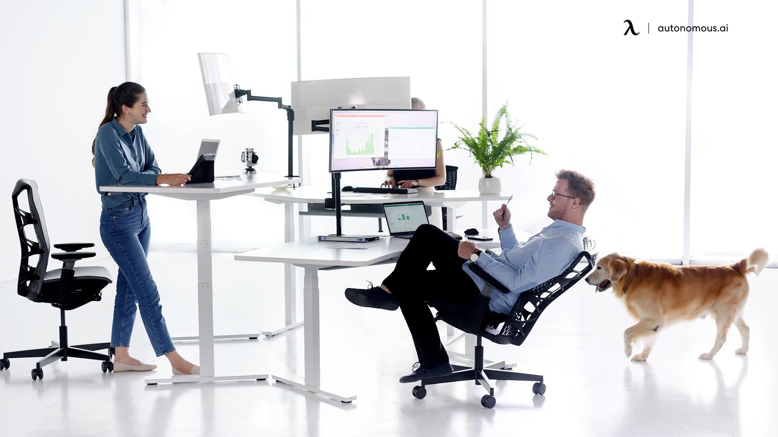 Hybrid Office Advantage: The New Future of Work