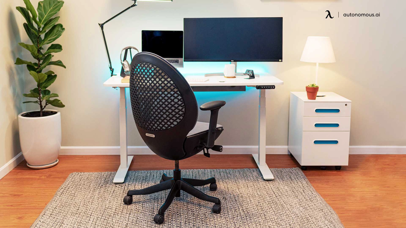 Mid Back Office Chairs - Best Mid Back Desk Chair Reviews
