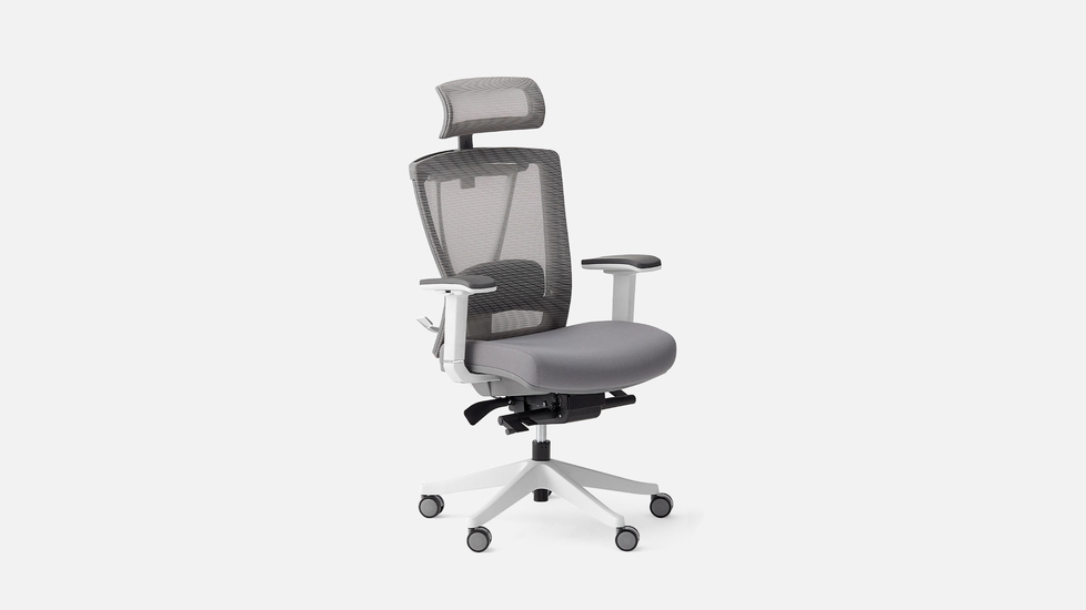Autonomous Office Ergonomic Cool Pro Gray - ErgoChair Chair