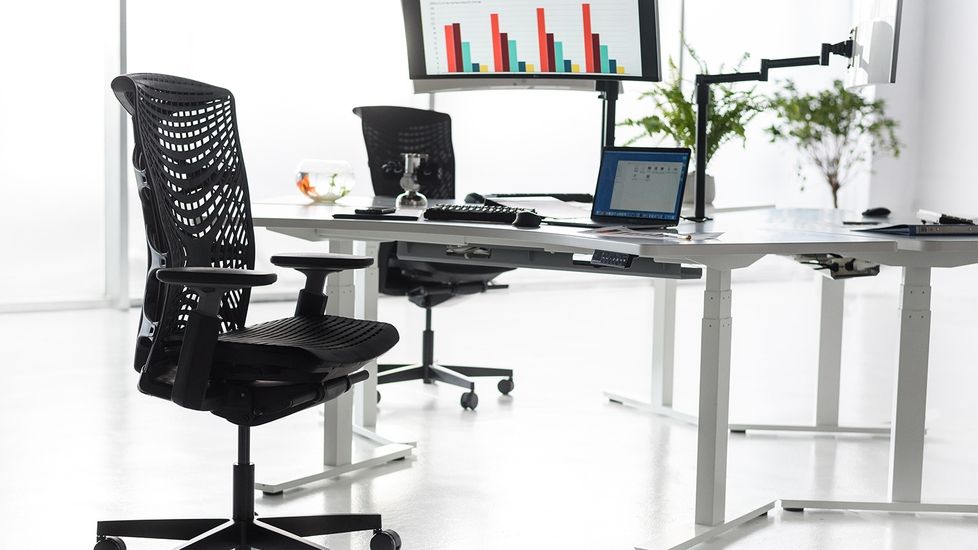 ErgoChair Pro  The Ergonomic Chair that Supports Your Entire Body