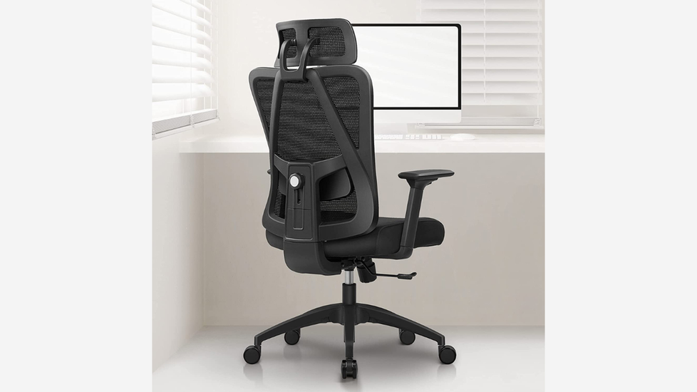 KERDOM Ergonomic Primy Office Chair: Adjustable Lumbar Support - Autonomous.ai