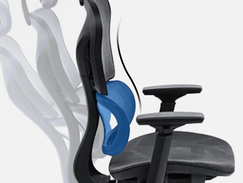 KERDOM FelixKing Ergonomic Chair: Double Lumbar Support