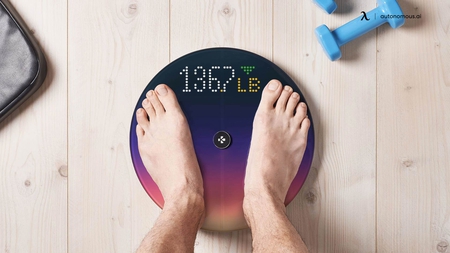 10 Best Smart Scales of 2023: BMI, Muscle Mass, Body Fat & More