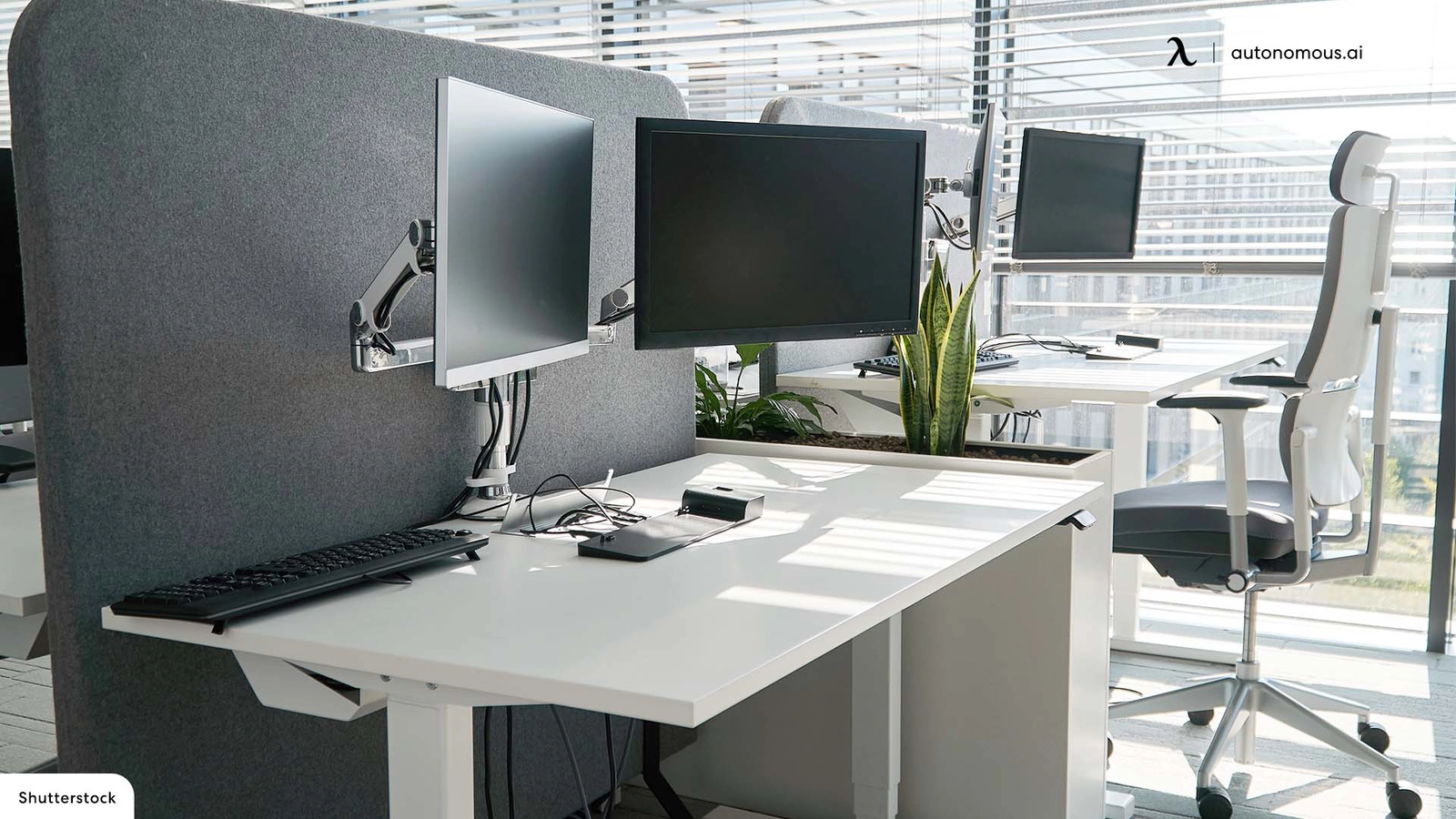 Where to Buy Tall Office Furniture with the Best Quality?
