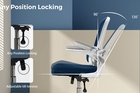 logicfox-ergonomic-office-chair-double-lumbar-support-logicfox-ergonomic-office-chair-double-lumbar-support