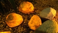 vivzone-solar-stone-glow-light-water-resistant-4-set - Autonomous.ai