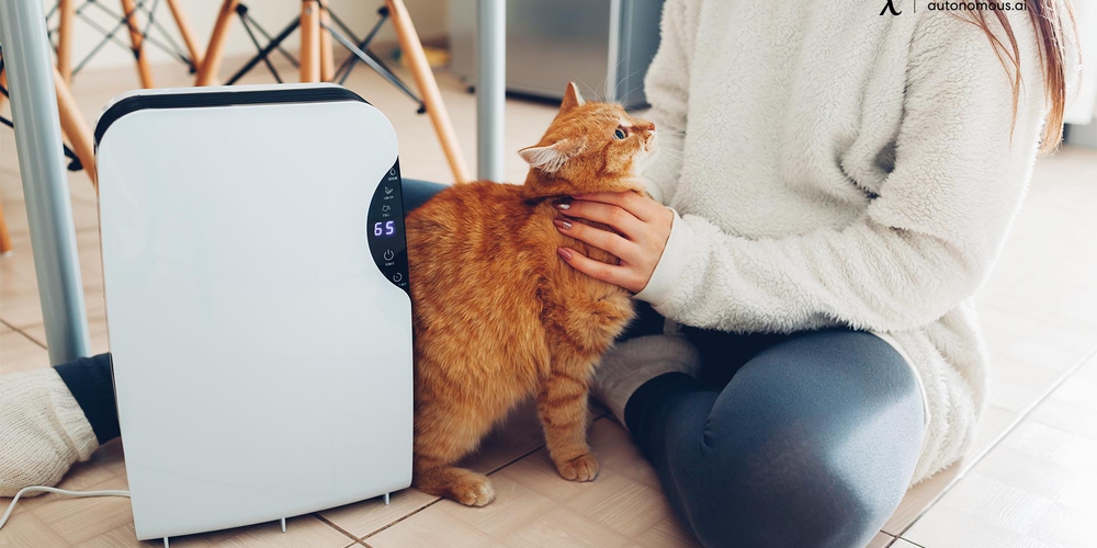 The 8 Best Air Purifiers for Pets In 2023