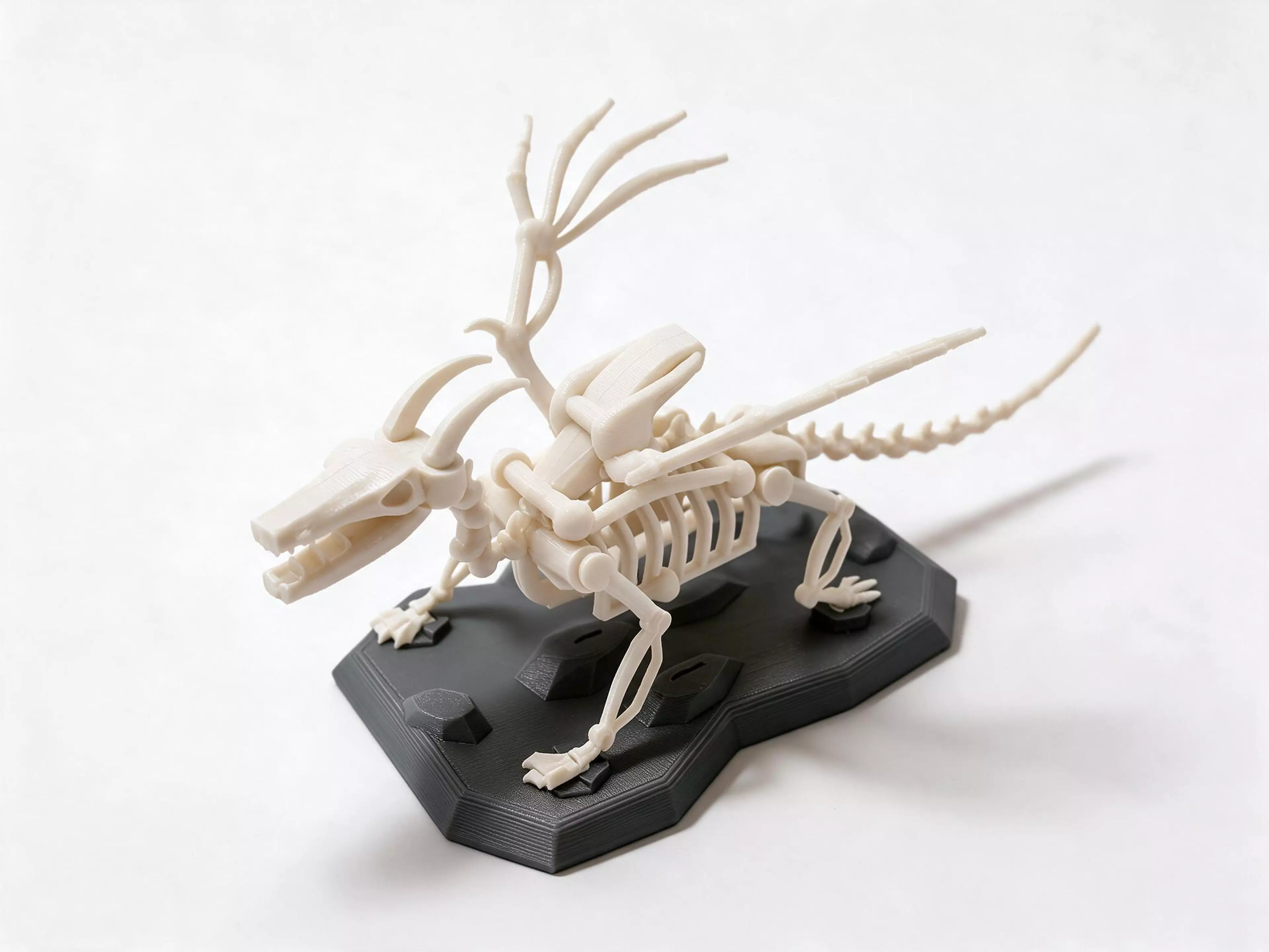 Ossuary Drake