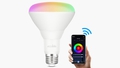 Eco4Life Smart Wi-Fi LED BR30 Bulb - 4 PACK - Autonomous.ai