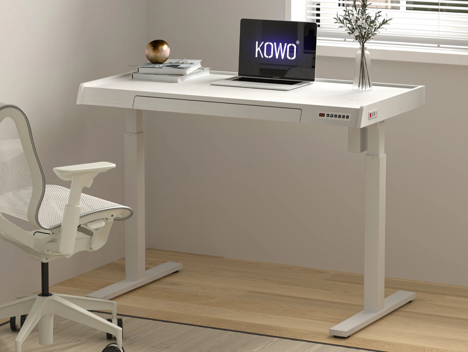 Kowo K309 Electric Standing Desk: Child Lock & USB Ports