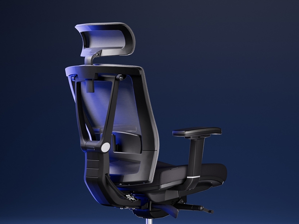 ErgoChair Pro