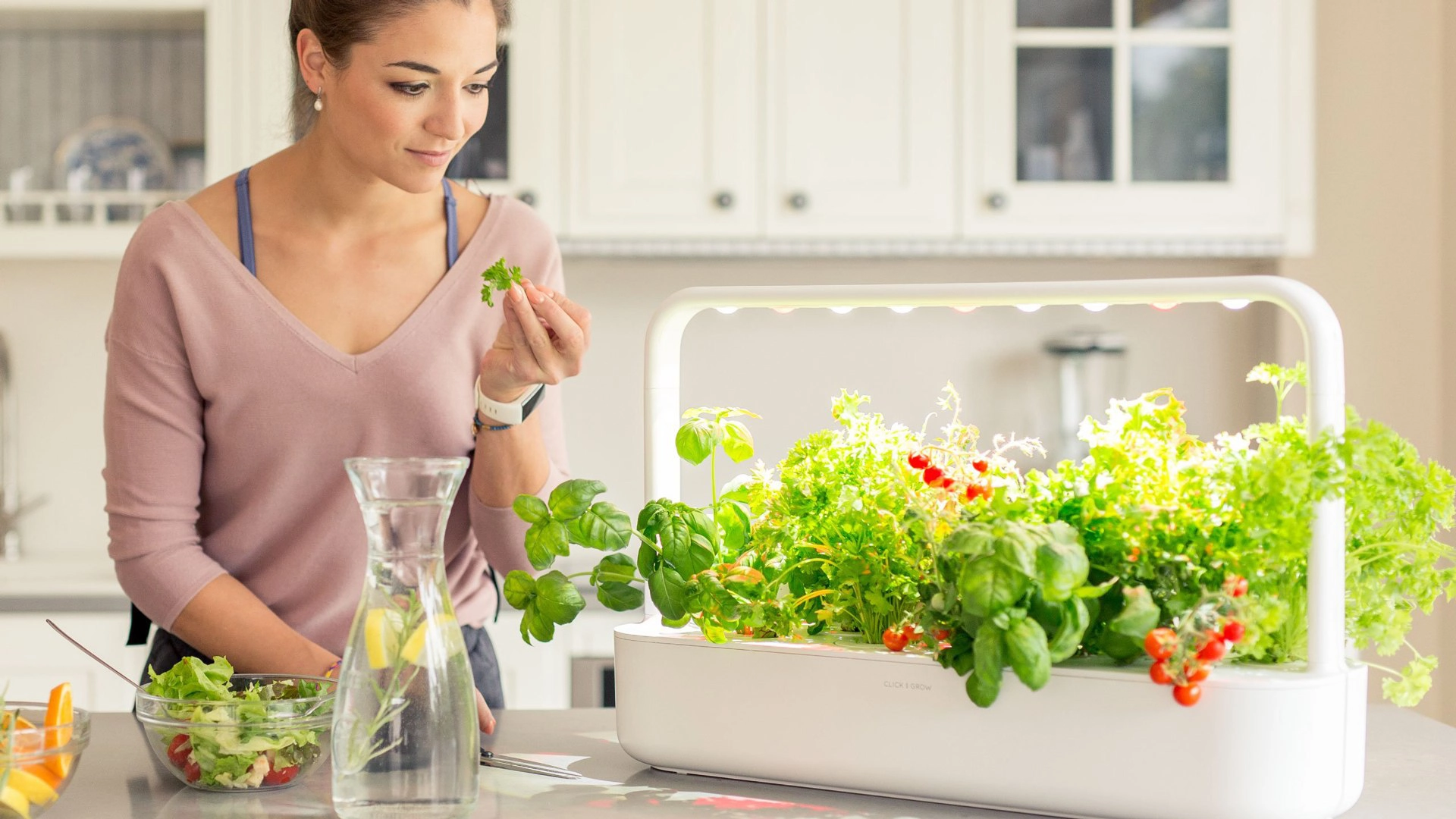 Click And Grow Smart Garden: Automatic Watering