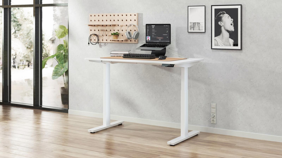 WalkingPad Height Adjustable Desk with Walnut Desktop and White Frame. Best Partner of Under Desk Treadmills, Your Smart Choice for Modern Office.