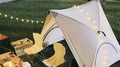 Lamp Depot Folding Pop-Up Canopy Tent: Easy Setup - Autonomous.ai