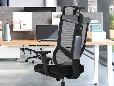 Logicfox Ergonomic Office Chair: Adjustable Backrest Height
