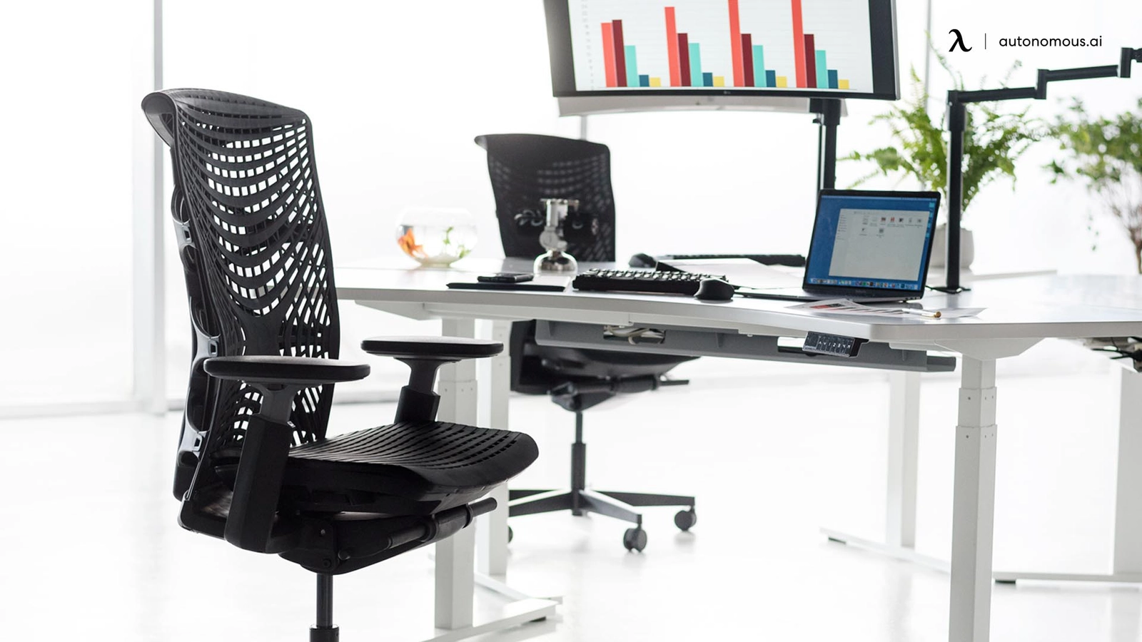 15 Best Office Ergonomic Chair Options for 2024