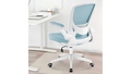 Kerdom Office Chair: Adjustable Armrests - Autonomous.ai