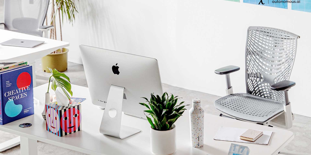 The 15 Best in Value Ergonomic Office Product Options for Workstation
