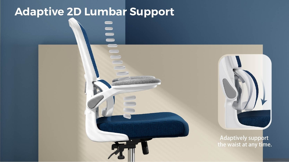 Lumbar Support for Office Chair, Car Seat, Double Breathable Mesh