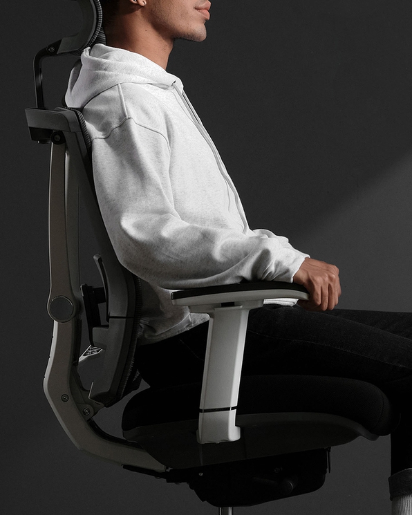 ErgoChair Pronomics