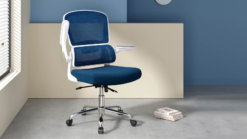 Logicfox Ergonomic Office Chair: Double Lumbar Support - Autonomous.ai