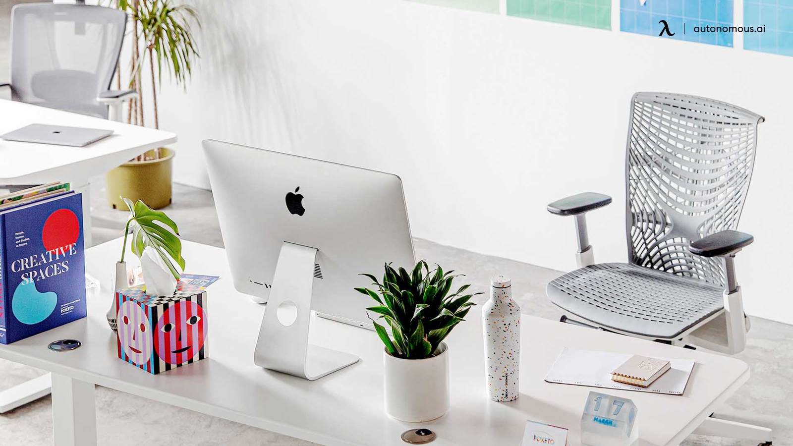 The 15 Best in Value Ergonomic Office Product Options for Workstation