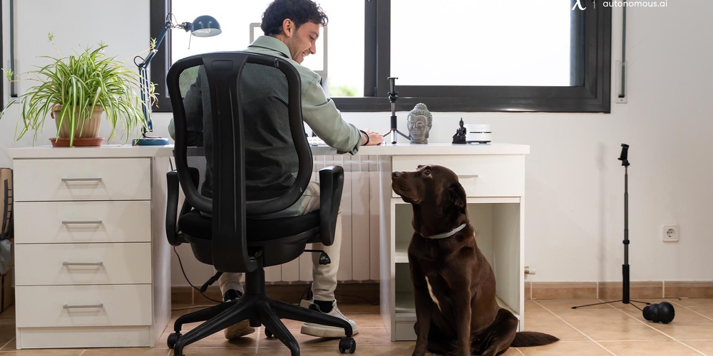 Top 15 Home Office Chairs with Lumbar Support 2022