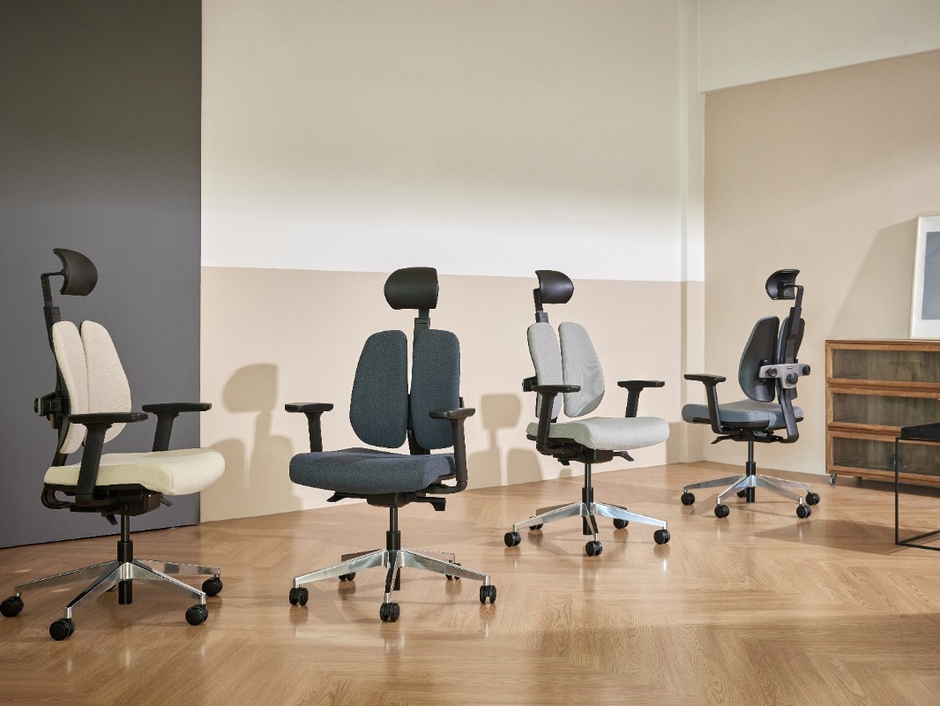 ErgoSpace Duo5: Ergonomic Chair with Patented Dual-Backrests